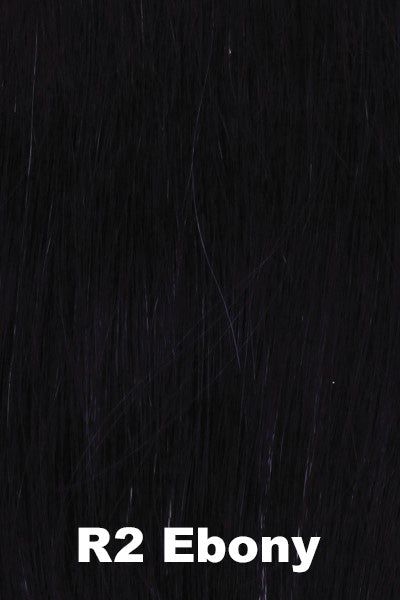 Color Ebony (R2) for Raquel Welch wig Crushing on Casual Elite.  Ebony dark black.