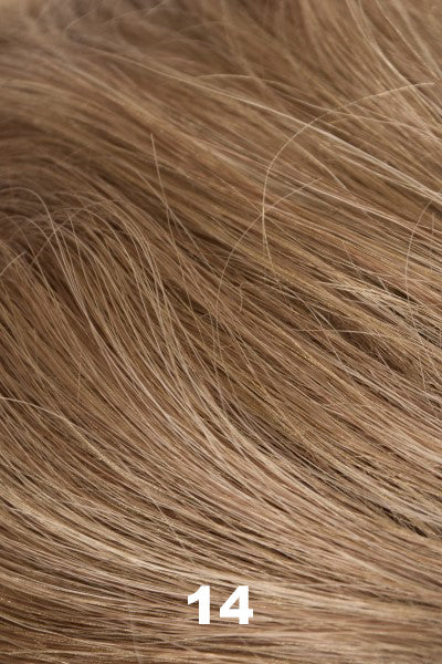 Color 14 for Tony of Beverly wig Beverly Hills.  Dark sandy blonde.