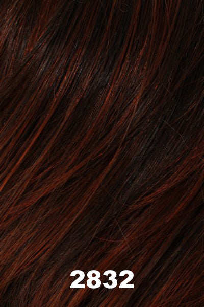 Color 2832 for Tony of Beverly wig Portia.  Dark brown base blended with deep red.