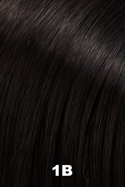 Color 1B (Hot Fudge) for Jon Renau wig Vanessa (#5386). Soft darkest black.