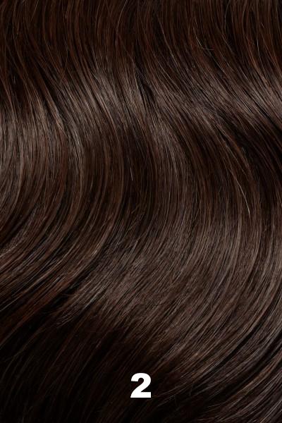 Color 2 (Chocolate Souffle) for Jon Renau wig JR (#444). Blend of off black and the darkest brown.