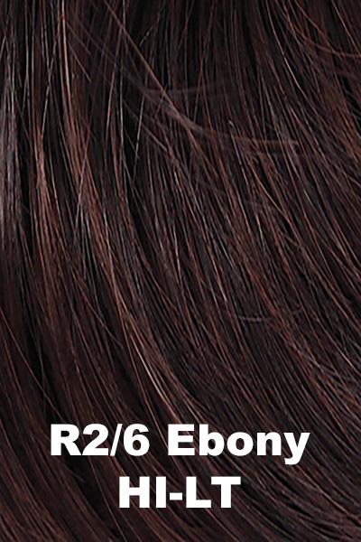 Hairdo Wigs Extensions - Highlight Wrap (#HXHLWR) Scrunchie Hairdo by Hair U Wear Ebony Highlight (R2/6)  