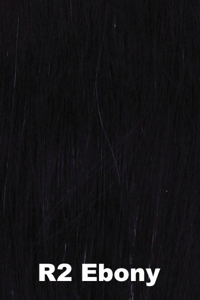 Color Ebony (R2) for Raquel Welch wig Salsa.  Ebony dark black.