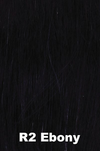 Color Ebony (R2) for Raquel Welch wig Trend Setter Elite.  Ebony dark black.