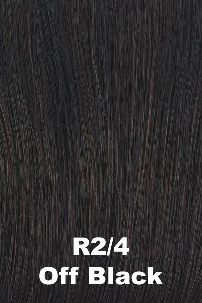 Color Off Black (RL2/4) for Raquel Welch wig Current Events.  Black base blended subtly with dark brown.