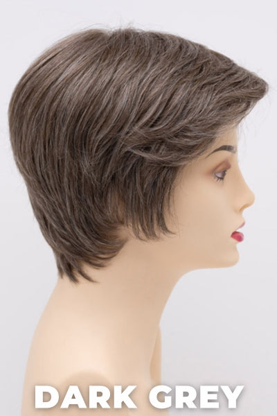 Color Swatch Dark Grey for Envy wig Paula Human Hair Blend.  Silver grey base with hints of neutral brown woven throughout.