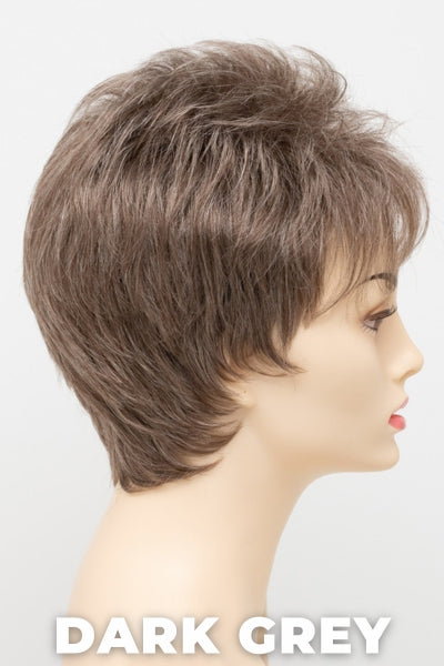 Color Swatch Dark Grey  for Envy wig Penelope Petite.  Silver grey base with hints of neutral brown woven throughout.