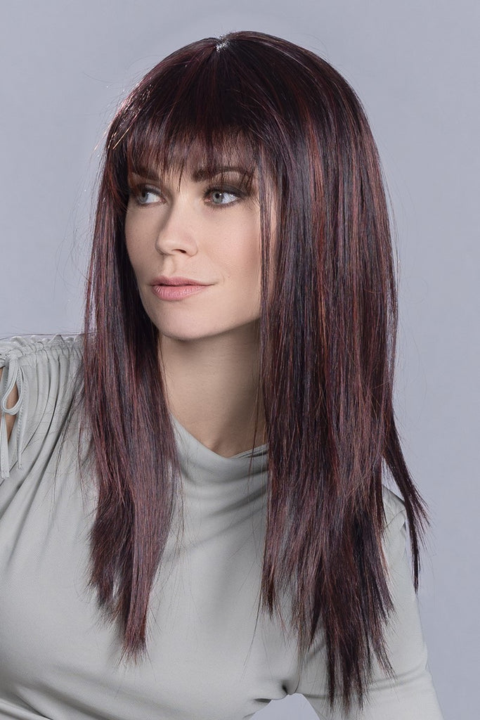 Ellen Wille Wigs - Cher wig Ellen Wille   