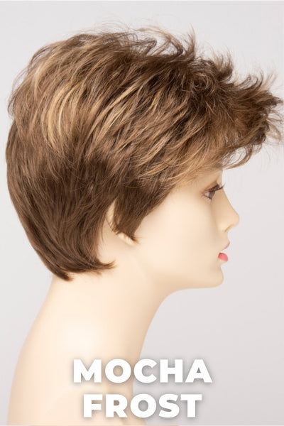 Envy-Raven-Mocha Frost. Light brown w/ Medium Blond highlights.