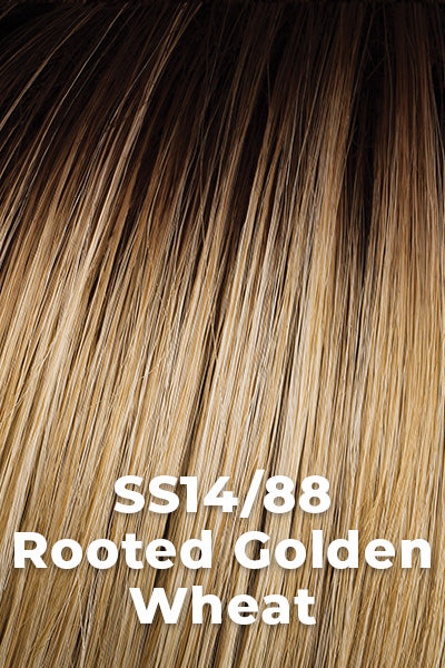 Rich Medium Brown root Golden Blond with Light Blonde highlights.