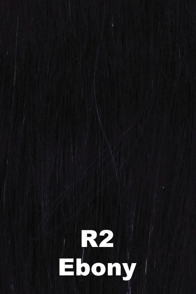 Color Ebony (R2)  for Raquel Welch wig Voltage Petite.  Ebony dark black.
