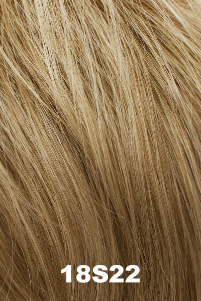 Color 18S22 for Tony of Beverly wig Griffin.  Light ashy blonde in the front that gradually blends to medium ashy brown in the back.