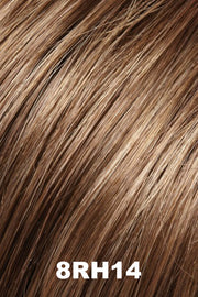 Color 8RH14 (Mousse Cake) for Jon Renau wig Madison (#5913). Medium brown with wheat and beige blonde highlights.