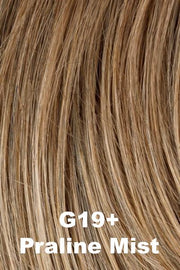 Color Praline Mist (G19+) for Gabor wig Prodigy.  Cool light brown base with natural blonde highlights.