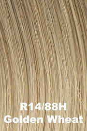 POP by Hairdo - Fishtail Braid Headband Headband Hairdo by Hair U Wear Golden Wheat (R14/88H)  