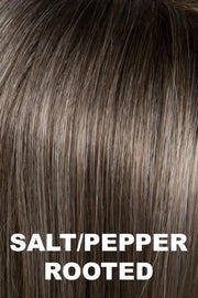 Ellen Wille Wigs - Vanity wig Ellen Wille Hair Society Salt/Pepper Rooted Petite-Average 