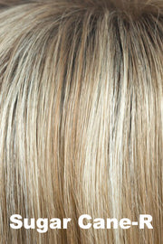 Color Sugar Cane-R for Amore wig Tate (#2580). Dark brown roots with a medium blonde base and caramel and dusty blonde lowlights and highlights.